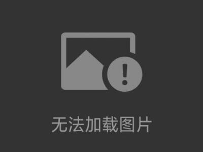 SHOWA B0610尼龍無(wú)塵手套