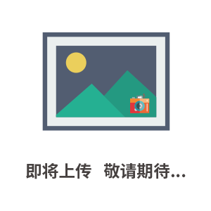 莫柏 定制輕奢休閑包 通勤商行旅游上班上學(xué)騎行雙肩背包 韓日風(fēng)格紋